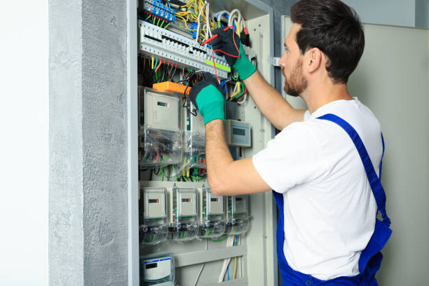 Best Local Electrician Companies  in Maple Lake, MN