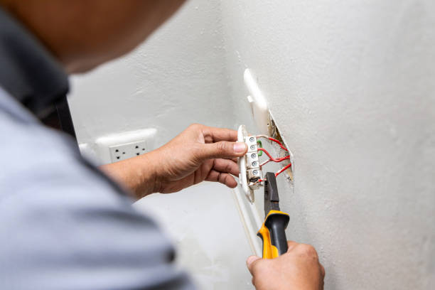 Best Licensed Electrician  in Maple Lake, MN