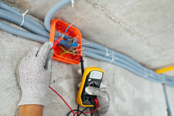 Best Residential Electrician Services  in Maple Lake, MN